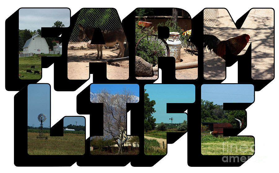 Farm Life Big Letter by Colleen Cornelius Farm Life Big Letter by Colleen Cornelius