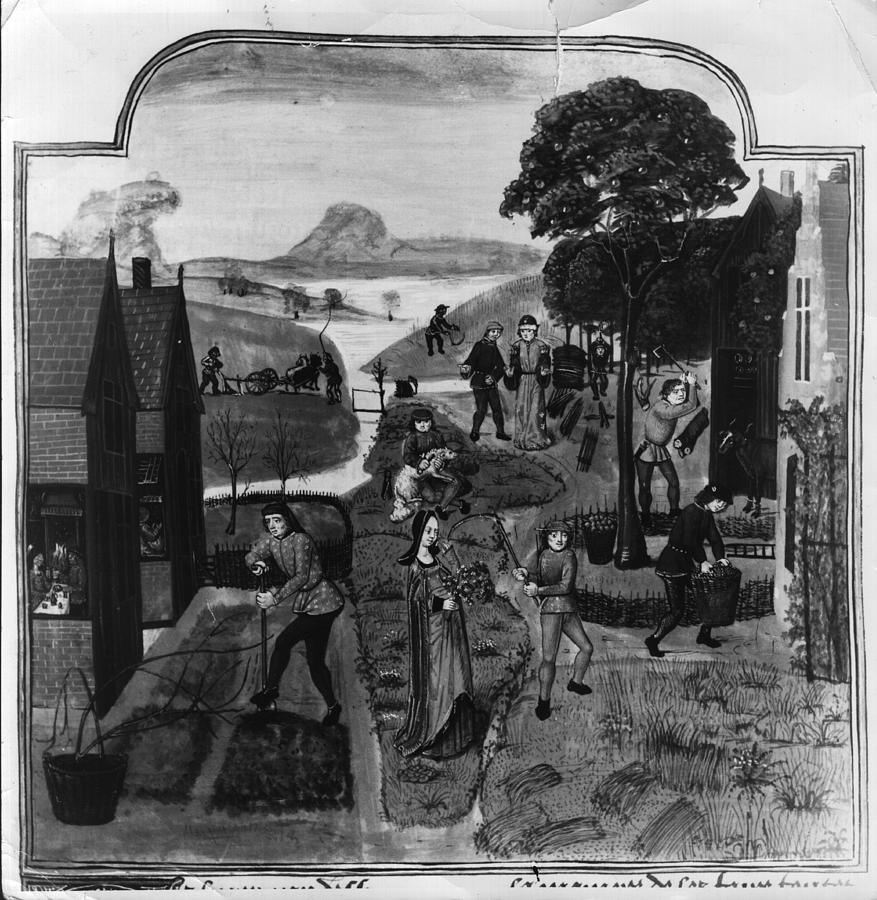 Farm Life Digital Art by Hulton Archive Farm Life Digital Art by Hulton Archive