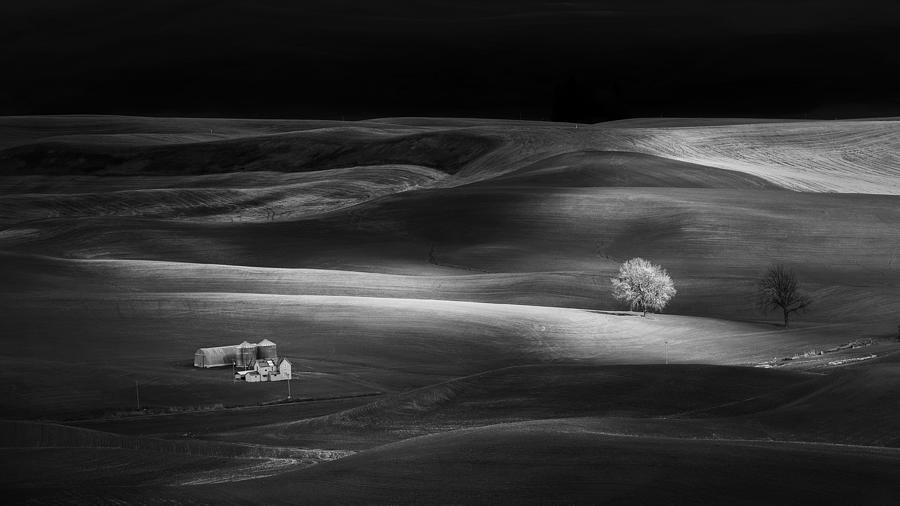 Black And White Photograph - Farm by Phillip Chang