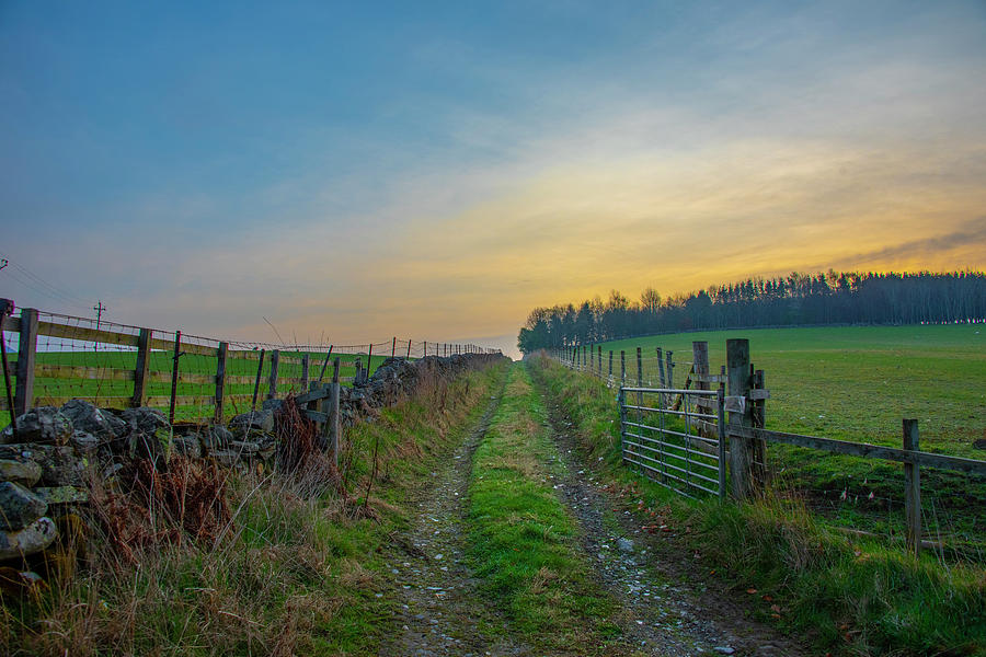Farm Road - Pitlochery Scotland Photograph by Bill Cannon