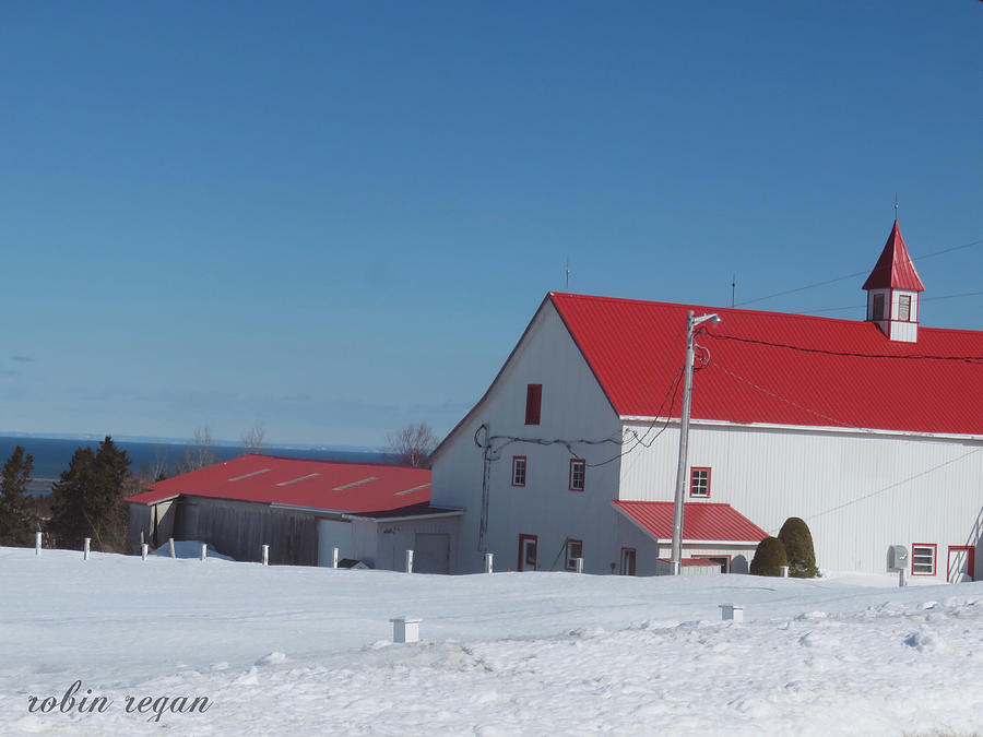 Farm by Robin Regan Farm by Robin Regan