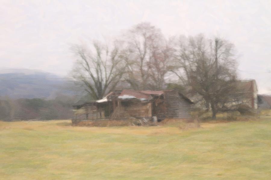 Tree Photograph - Farm Ruins by Cathy Lindsey