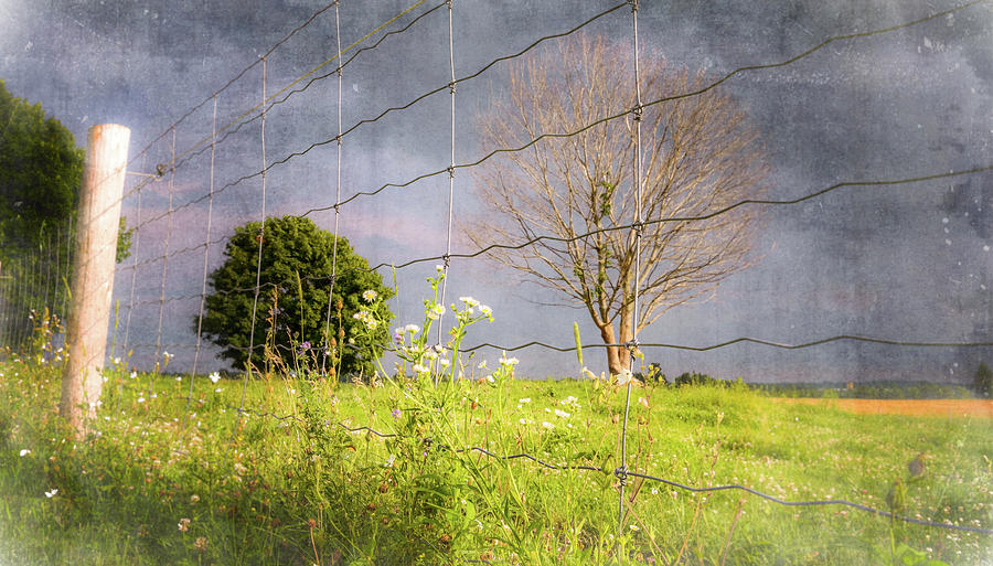 Farm Scene - A New Perspecitve by Garvin Hunter Farm Scene - A New Perspecitve by Garvin Hunter