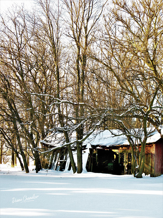 Farm Shed in Snow Photograph by Diane Chandler