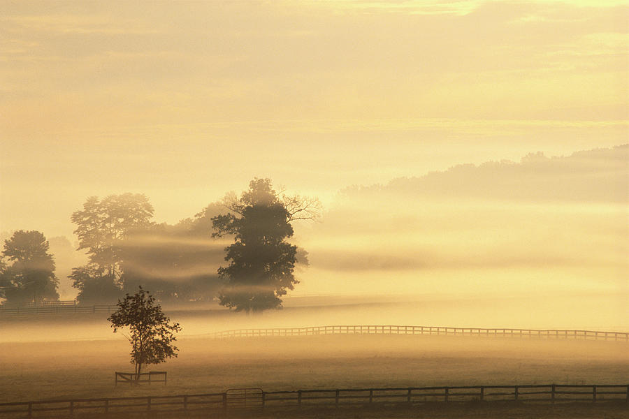 Farm Shrouded In Mist, Dawn Photograph by Tony Sweet
