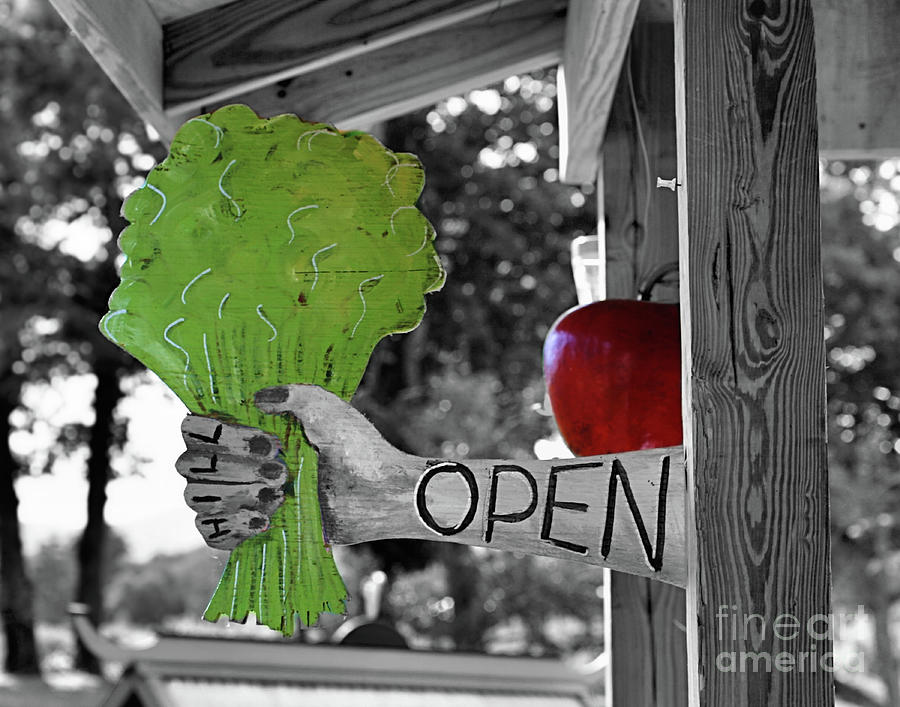 Farm Stand Open Partial Color Photograph by Smilin Eyes Treasures