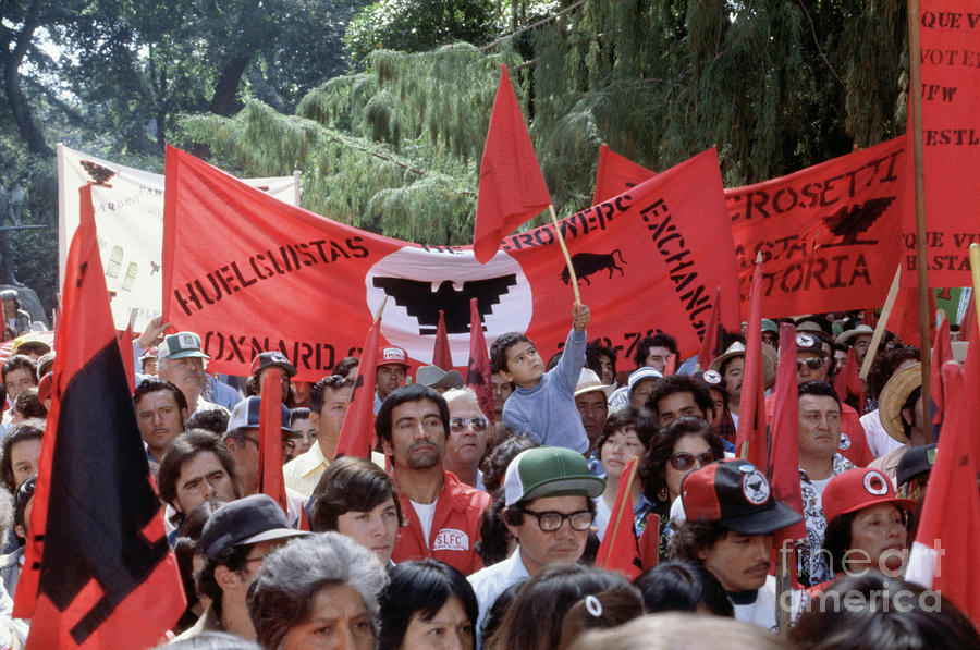 Farm Workers Rallying Photograph by Bettmann