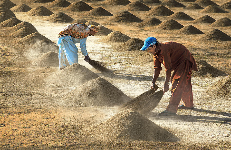 Farm Workers Photograph by Sami Ur Rahman