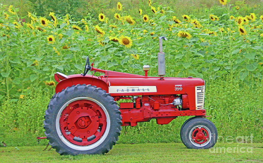 Farmall Sunflowers Photograph by Nicole Engelhardt - Fine Art America