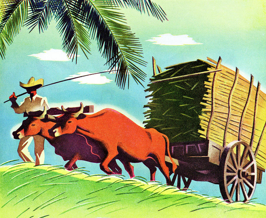 Vintage Drawing - Farmer and Cattle Pulling a Cart by CSA Images