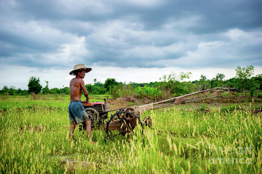 Farmer and Hand Tractor by Lee Craker Farmer and Hand Tractor by Lee Craker