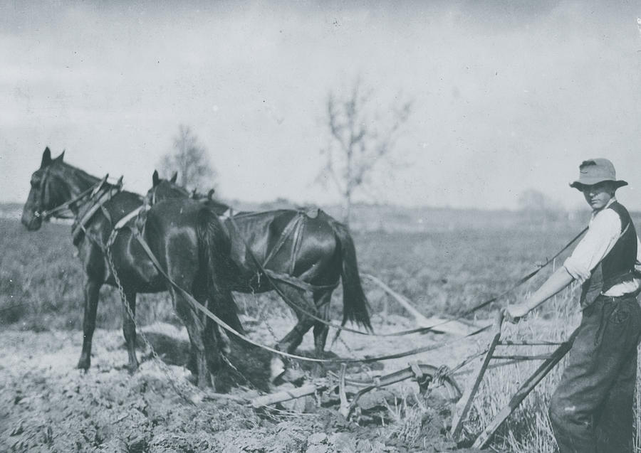 Farmer Behind Horses As They Pull A Plow Through A Field Painting By   Farmer Behind Horses As They Pull A Plow Through A Field Unknown 