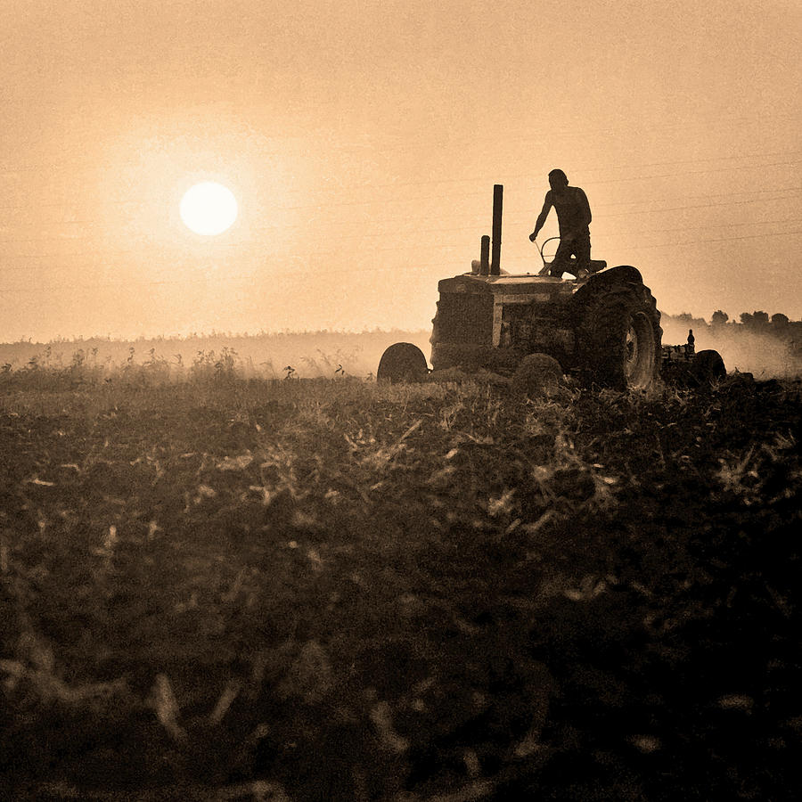 Farmer Photograph by Neil Pankler