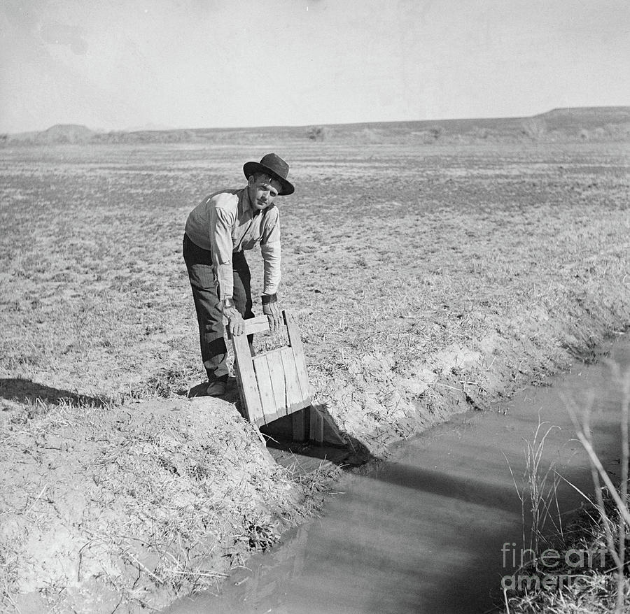 Vintage Photograph - Farmer Opening Irrigation Gate by American School