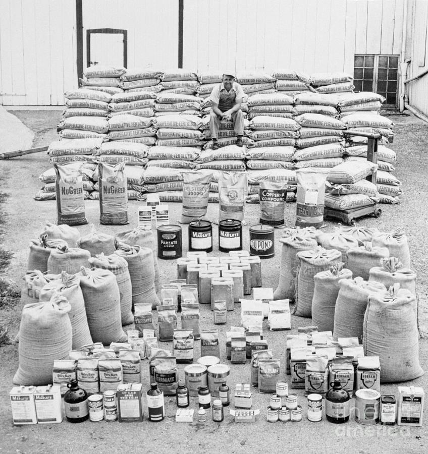 Farmer Surveys Chemical Supply Photograph by Bettmann