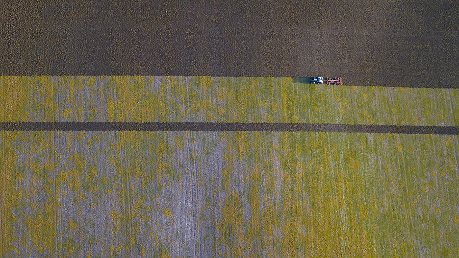 Farmer Working Photograph by Kutub Uddin