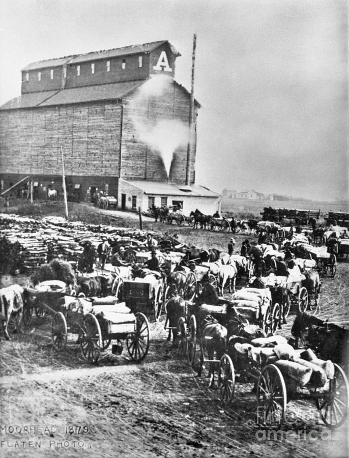 Farmers At Steam Operated Grain Elevator Photograph by Bettmann