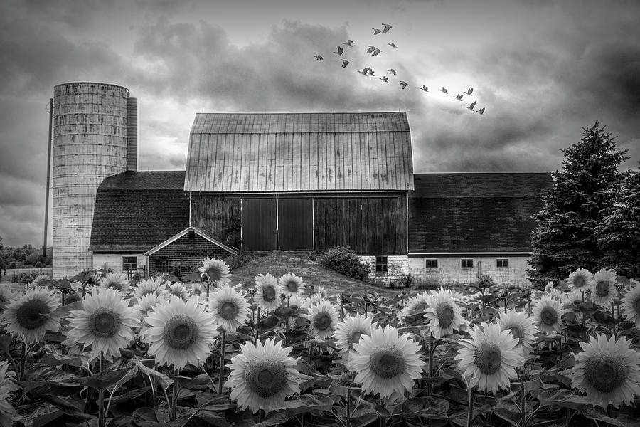 Farmers Field in Black and White Photograph by Debra and Dave Vanderlaan