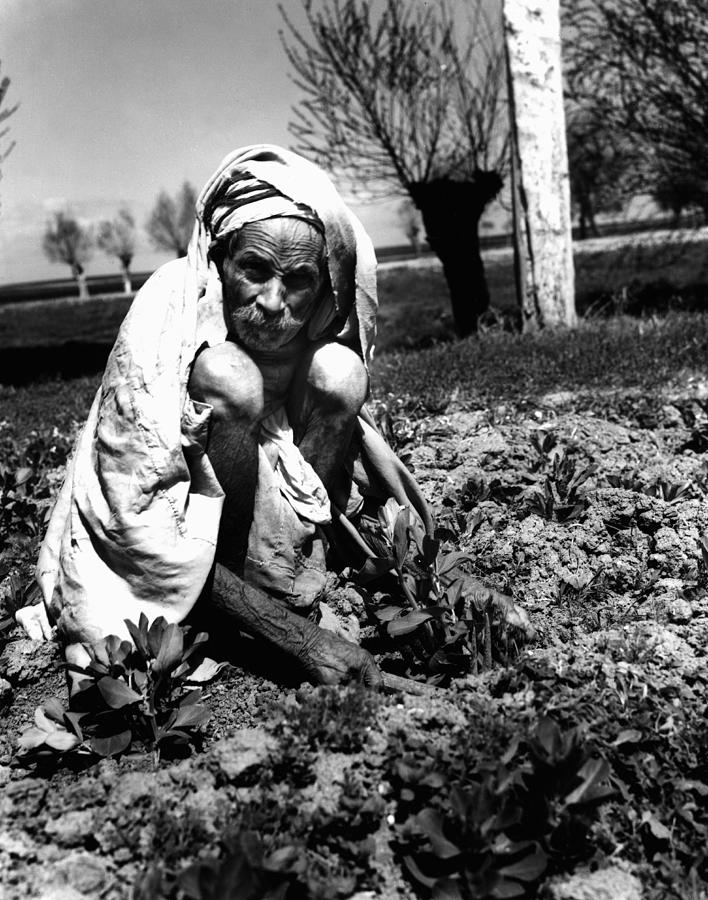 Farmers In North Africa Photograph by Robert Natkin