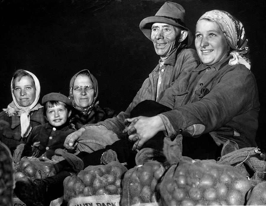 Potato Photograph - Farmers by Margaret Bourke-White