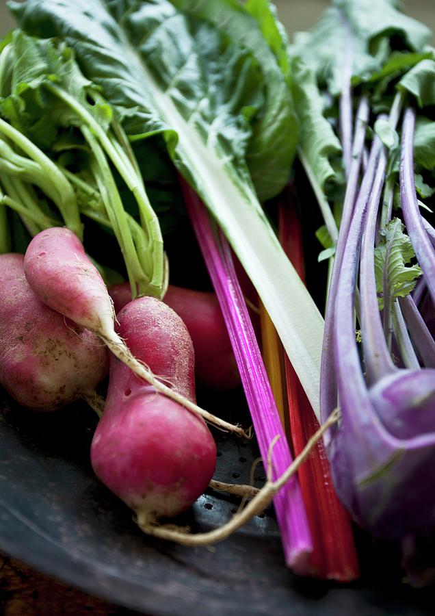 Farmers Market Vegetables - Radishes, Rainbow Swiss Chard, And Kohlrabi - In A Rustic Metal Bowl Photograph by Ryla Campbell