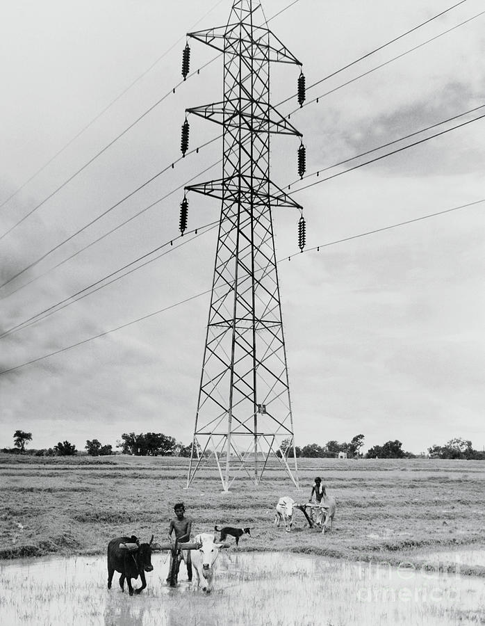 Farmers Working In Field In India Photograph by Bettmann