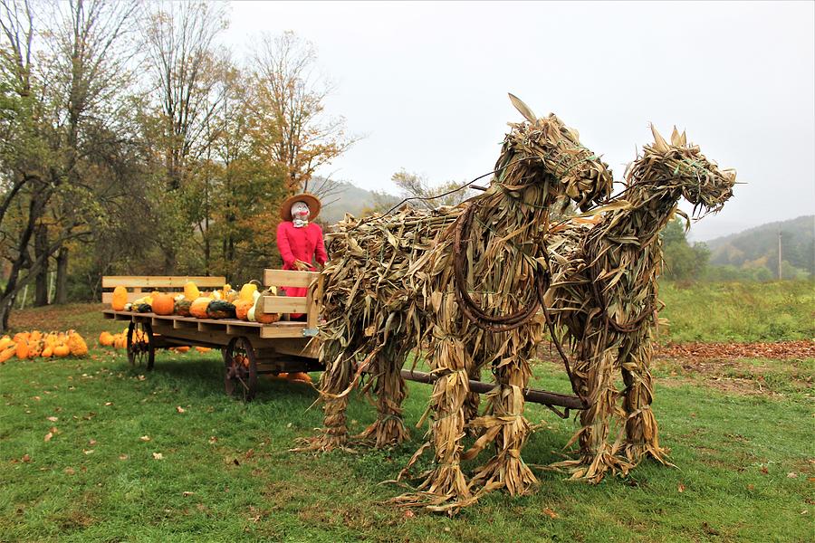 scarecrow horse mask