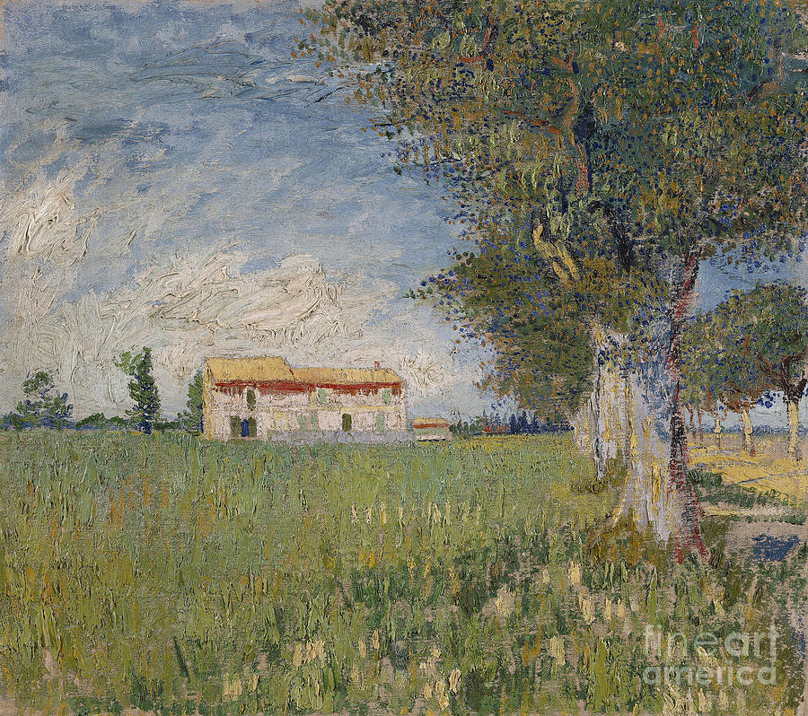 Farmhouse In A Wheat Field, 1888 Drawing by Heritage Images