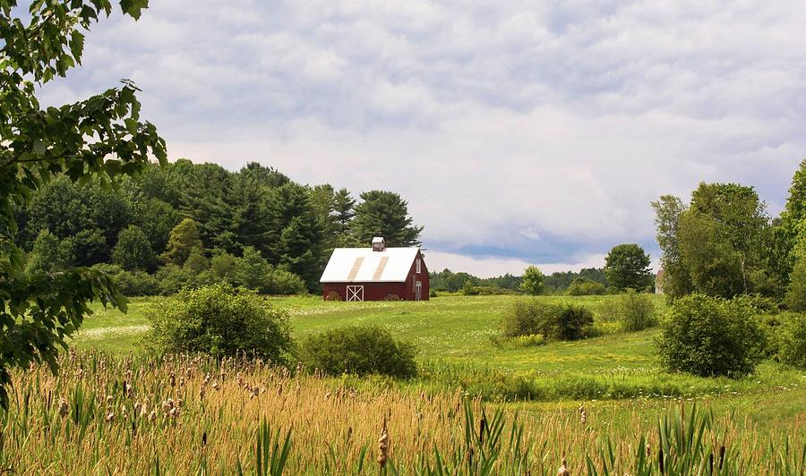 Back Roads Maine Photograph by Ali Bailey Back Roads Maine Photograph by Ali Bailey