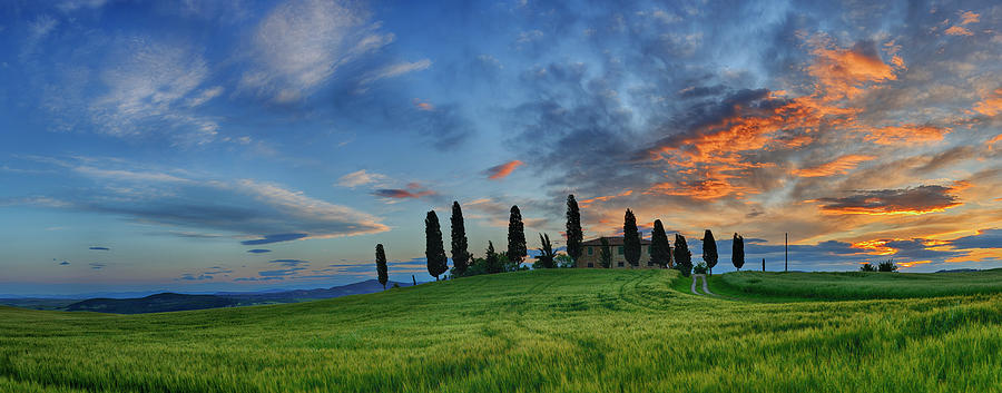 Farmhouse With Cypress Trees At Sunrise Photograph by Martin Ruegner