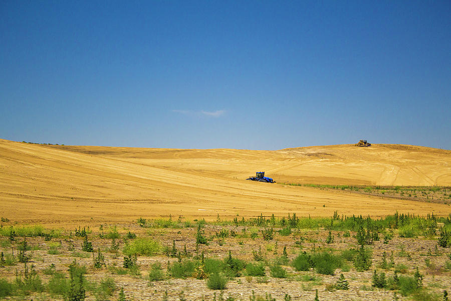 Farming by Alina Avanesian Farming by Alina Avanesian