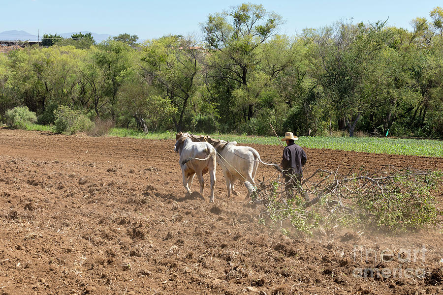 People Photograph - Farming In Oaxaca by Jim West/science Photo Library People Photograph - Farming In Oaxaca by Jim West/science Photo Library