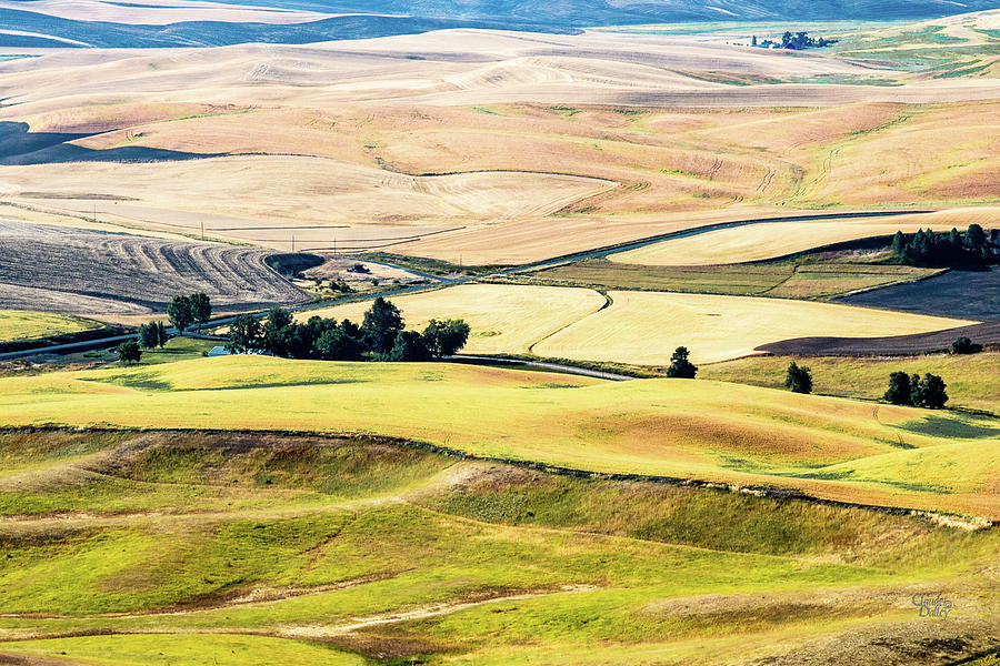 Farming The Palouse Photograph by Claude Dalley