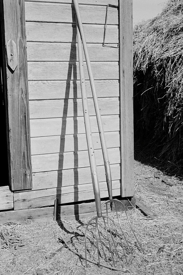Farming Tools Still Life Painting by Dorothea Lange