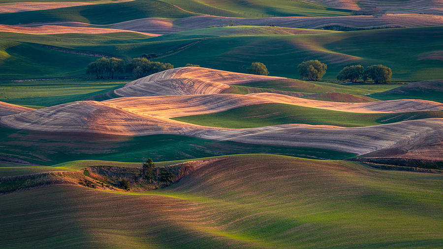 Farmland At Sunset Photograph by Dennis Zhang - Fine Art America