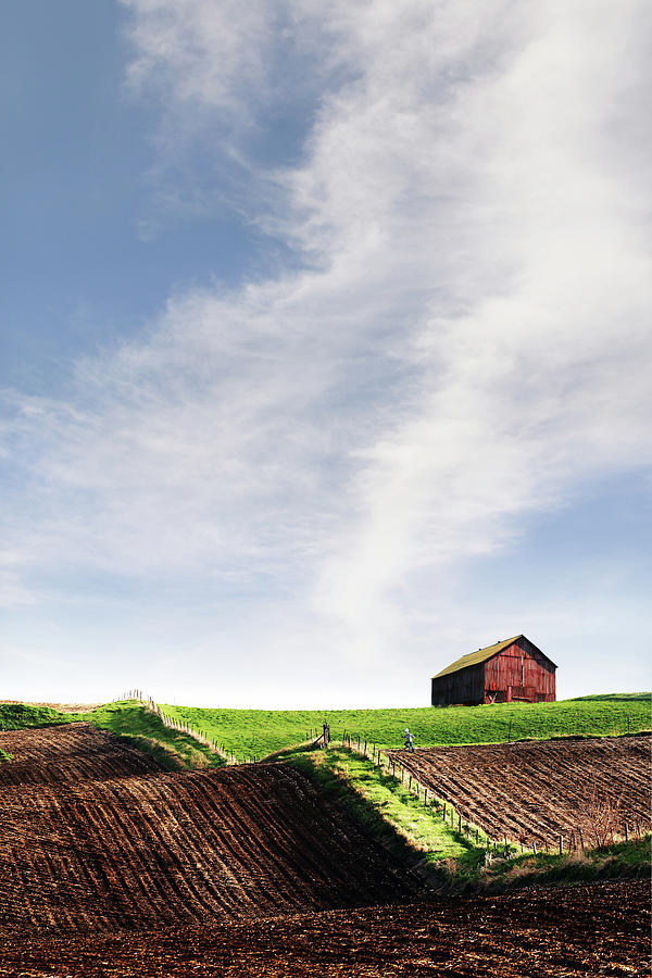 Farmland Photograph by Christopher McKenzie