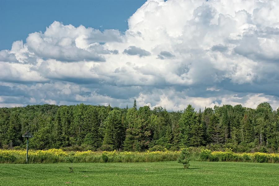 Farmland, Forests And Clouds On Sunny Photograph by Denise Taylor