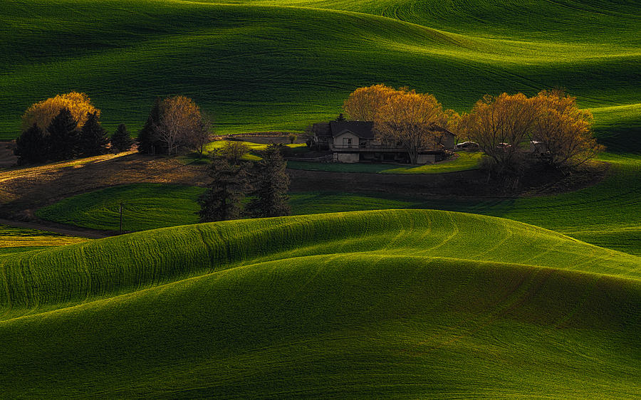 Spring Photograph - Farmland Golden Light by Lydia Jacobs