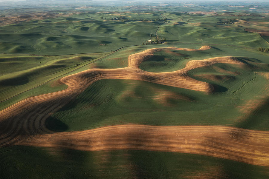 Farmland Of Palouse Photograph by Dennis Zhang
