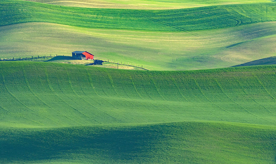 Farmland Of Palouse Photograph by Feng Qin