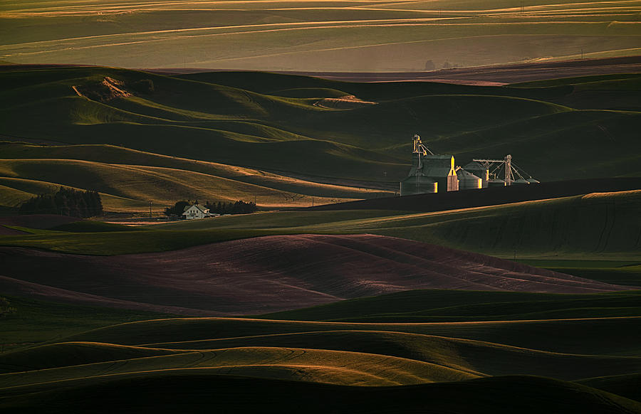 Farmland Sunset Photograph by Lydia Jacobs
