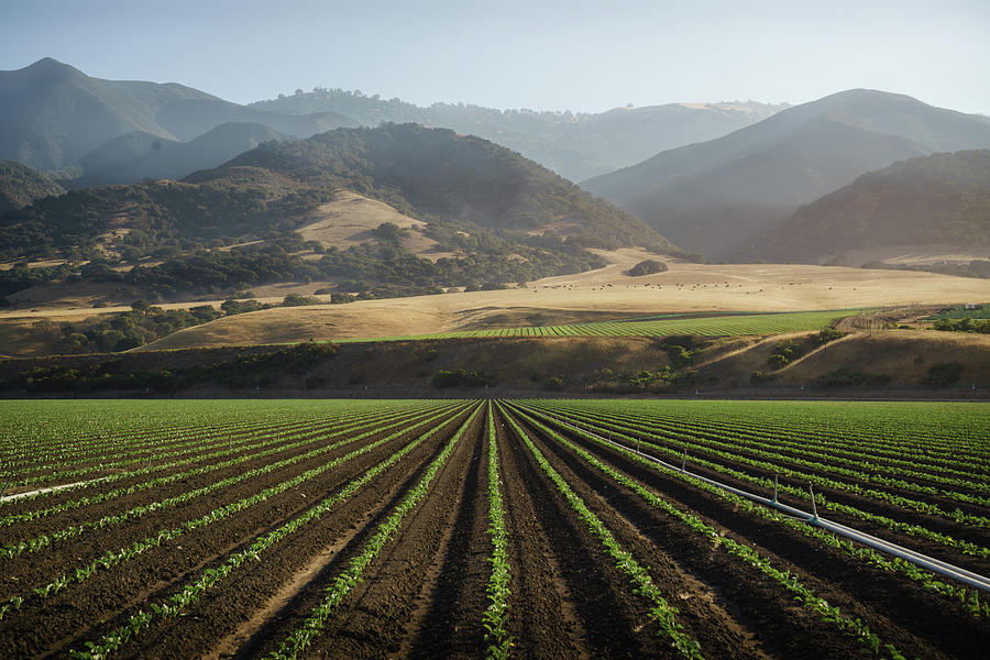 Farm Photograph - Farmlands in Central California by Matthew Baugh