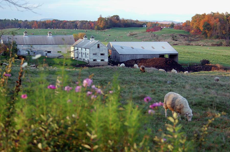 Farmscape, Indian Summer, Vermont Digital Art by Heeb Photos