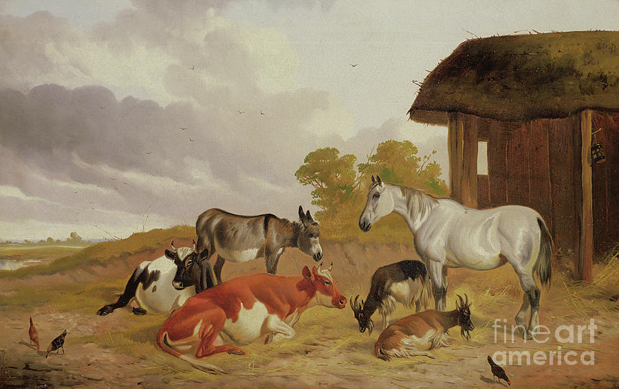Farm Painting - Farmyard companions by John Alfred Wheeler