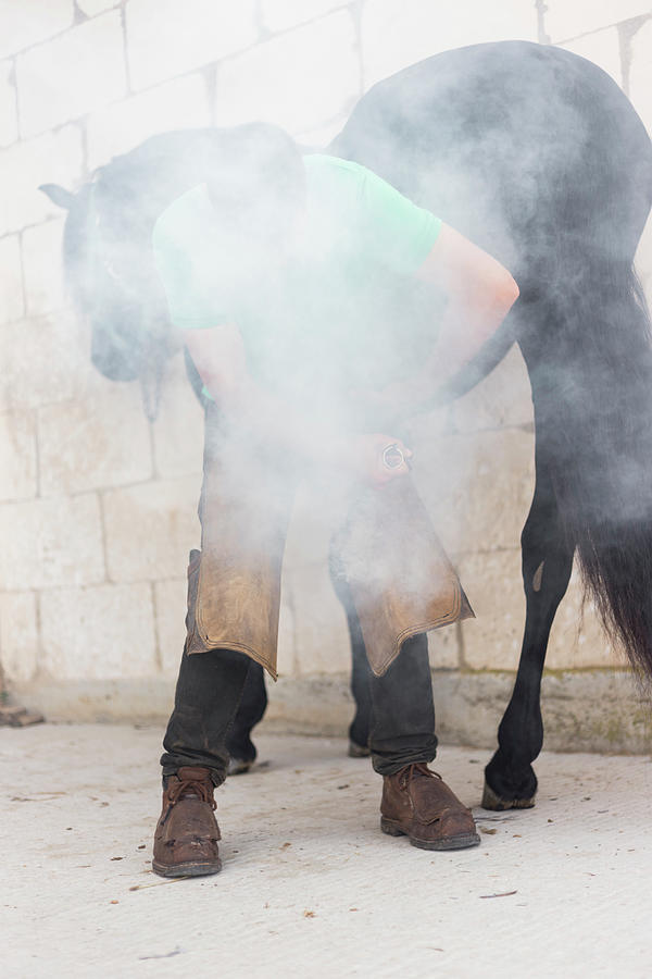 Tool Photograph - Farrier Changing Horseshoe by Cavan Images