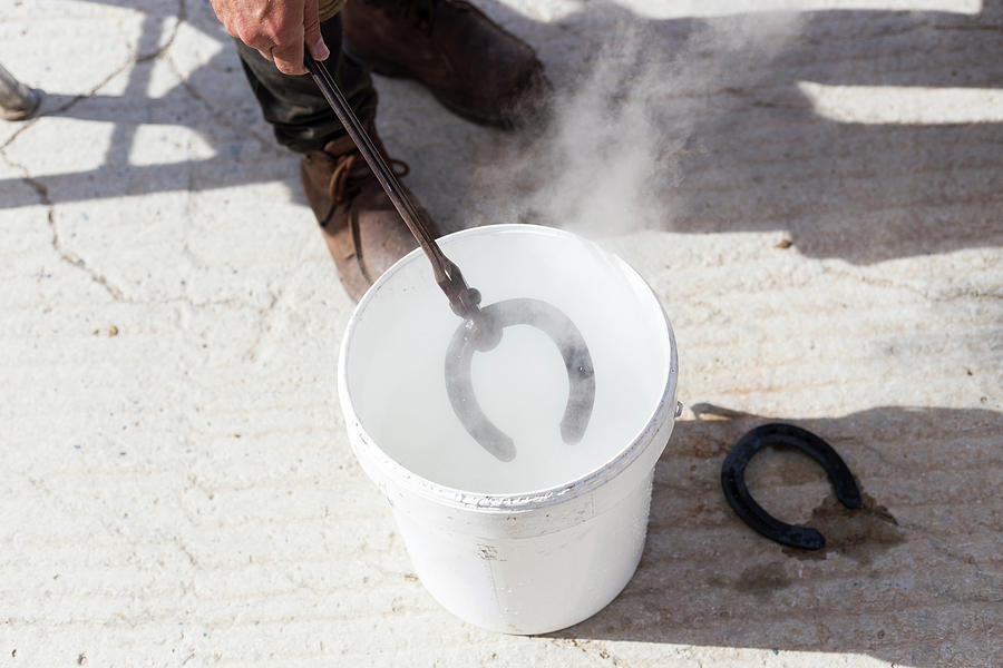 Tool Photograph - Farrier Cooling Hot Horseshoe by Cavan Images