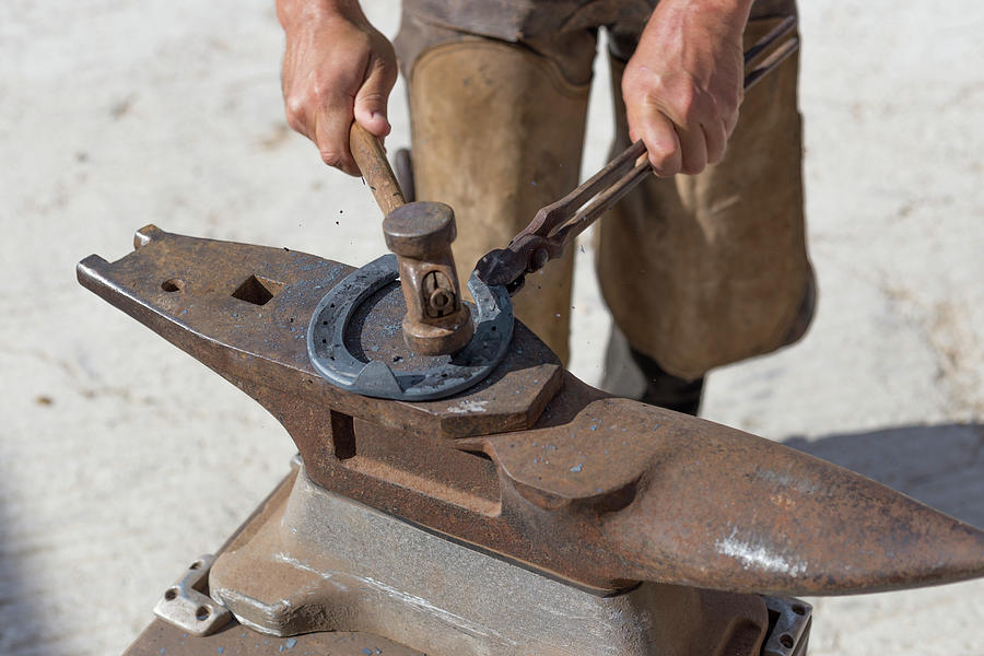 Tool Photograph - Farrier Hammers A Hot Horseshoe On Anvil by Cavan Images