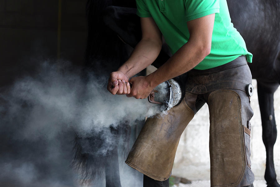 Tool Photograph - Farrier Placing Hot Horseshoe On Horses Hoof by Cavan Images