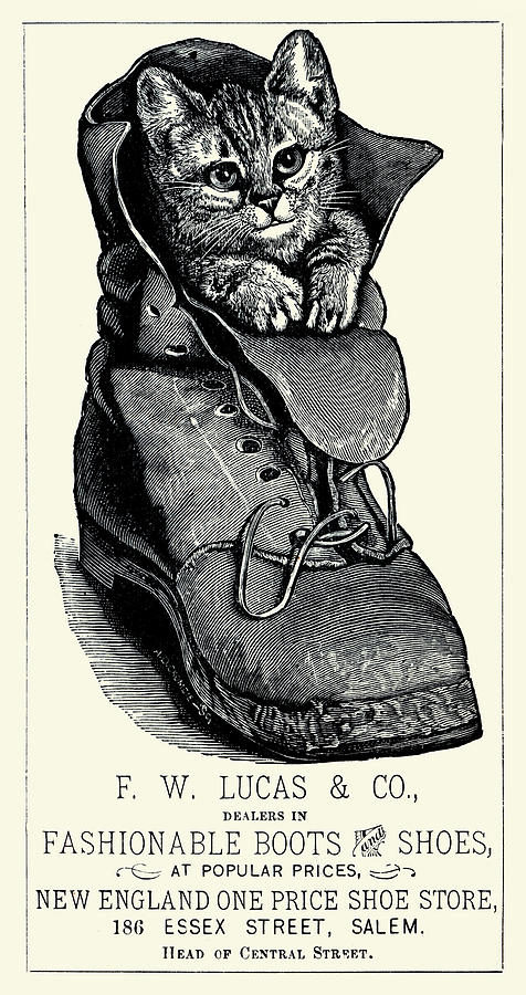 Fashionable Puss in Boot Painting by Unknown