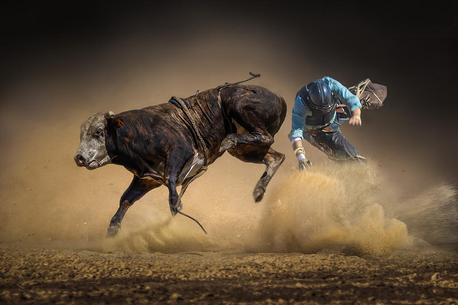 Fast And Furious Photograph by Irene Wu - Fine Art America